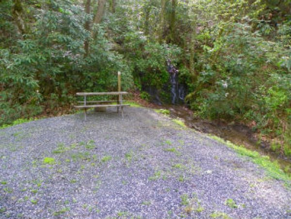 Site W Indian Creek Campground